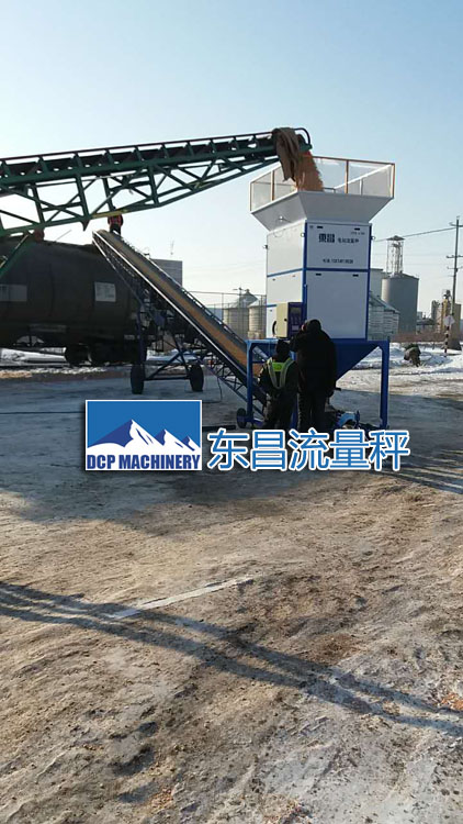 吉林糧食流量秤DCS-L100，50