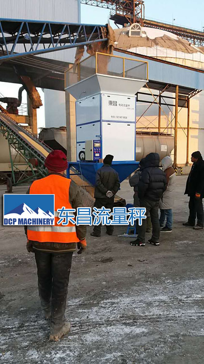 哈爾濱流量秤廠(chǎng)家型號DCS-L系列