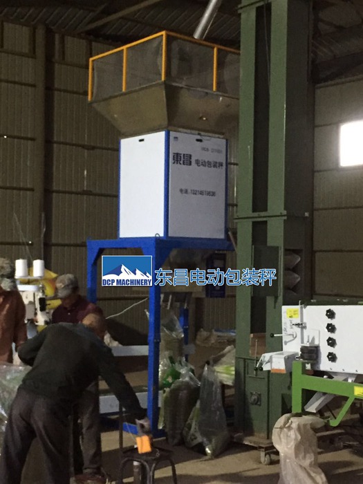 電動(dòng)雜糧包裝機