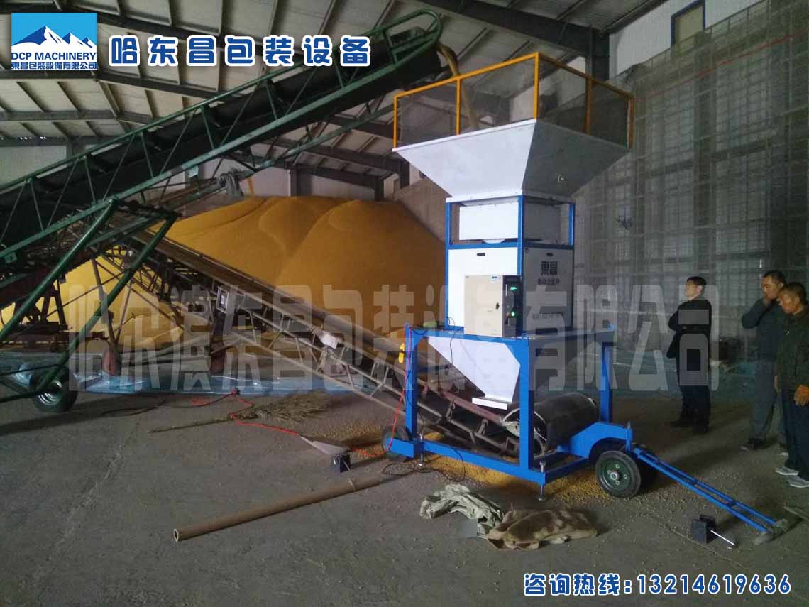 散糧累計秤哈爾濱東昌中間計量稱(chēng)流量秤